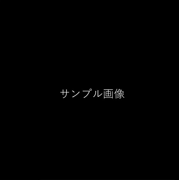 TESTハイライト長尾