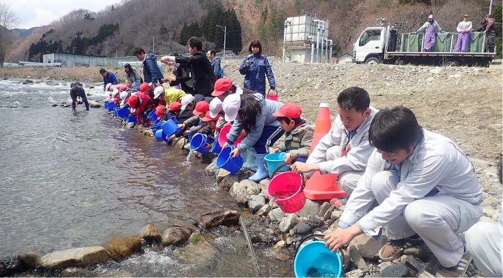 稚魚の放流会への参加