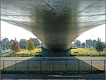 下から見上げた姿